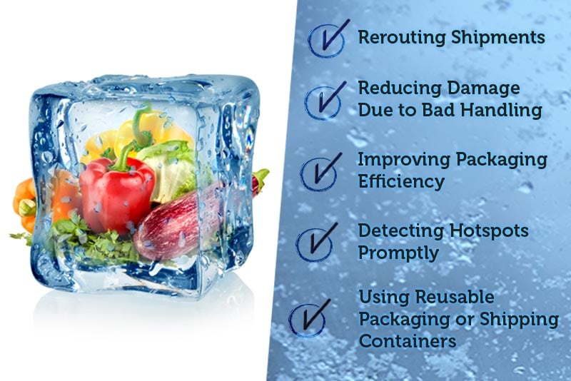 How Can Cold Chain Monitoring Reduce Logistics Cost?